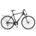 城市車 L12-TREK