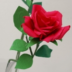 精細縐紋紙 Fine Crepe Paper