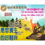 臺南-福成養鹿畜牧場,本鹿場多年連續榮獲行政院農委會評鑑為優良鹿場，有政府有力的保證，讓消費者更有信心，您購買上更加安心！品質優良、純淨環境、鹿茸最多~盡在 臺南-福成養鹿畜牧場