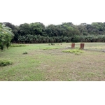 三灣漂亮農建地*-*專業介紹土地房屋