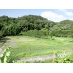寶山有機休閒漂亮美地^~^頭份成交快不動產